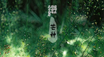 【二十四節(jié)氣灸】芒種節(jié)氣，培土補脾、養(yǎng)陰生津！艾灸這些穴位事半功倍！