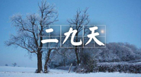 【三九養(yǎng)生】冬二九，扶陽補(bǔ)腎氣，讓你陽氣充足一整年！