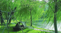 【養(yǎng)生知識】元宵入六九，春季已至，六九天的養(yǎng)生知識你知道多少？