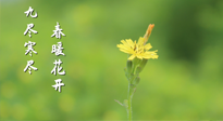 【九九養(yǎng)生】三月四日“九九日”，寒冬已過。春天養(yǎng)好身，全年不怕病！