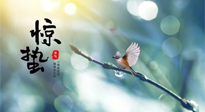 【二十四節(jié)氣灸】驚蟄節(jié)氣，艾灸喚醒抵抗力、補充陽氣的最好時機！