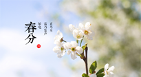 【二十四節(jié)氣灸】春分，平分了大地晝夜；艾灸，平衡了身體陰陽！