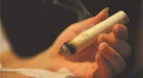 【艾灸知識】春暖花開，衣衫漸薄，再不減肥，身上的肉肉可藏不住了！