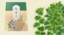 【行業(yè)資訊】國內(nèi)首部艾草專著《南陽艾》，在南陽新書首發(fā)！