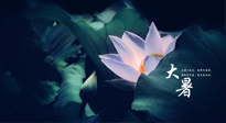 【二十四節(jié)氣灸】趁大暑好好艾灸，才不辜負(fù)三伏天的驕陽(yáng)！