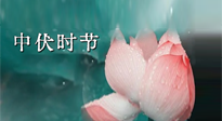 【艾灸三伏天】中伏：三伏灸的關(guān)鍵轉(zhuǎn)折點(diǎn)！“灸”除病根的大好時(shí)機(jī)！
