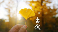 【艾灸三伏天】出伏啦！三防三宜兩穴位，防止身體“秋后算賬”！