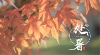 【二十四節(jié)氣灸】處暑，冬病夏治倒計時！秋涼真的要來了！