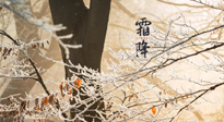 【二十四節(jié)氣灸】霜降節(jié)氣：艾灸四穴，護(hù)您冬天安然無恙！