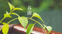 【二十四節(jié)氣灸】谷雨節(jié)氣脾土濕，艾灸降濕濁，脾旺不受邪！
