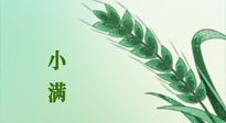 【二十四節(jié)氣灸】小滿節(jié)氣記得艾灸，悠悠長夏，健康度過！