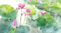 【養(yǎng)生知識(shí)】花開半夏，夏至養(yǎng)生，這些知識(shí)一定要牢記！