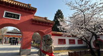 【行業(yè)資訊】新華財經(jīng)：守正創(chuàng)新，中醫(yī)藥品牌化發(fā)展“更上一層樓”！